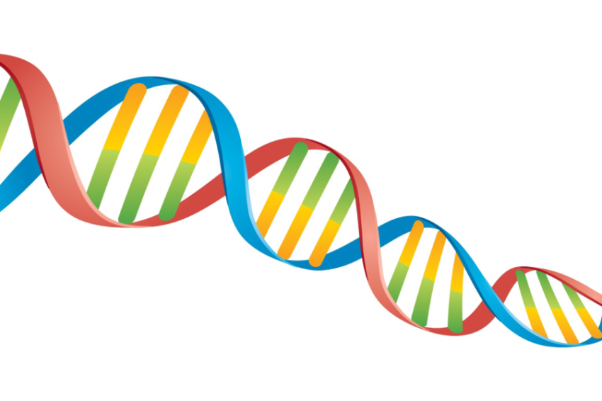DNA PNG Free Healthcare DNA Image PNG Free Download