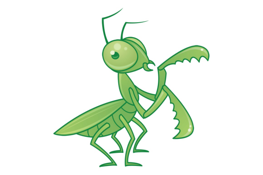 Illustration & Stock Clipart Cute Mantis Insect Animal PNG Cartoon Free Download