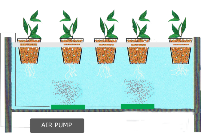 Bio Air Pump PNG Practice Free Download