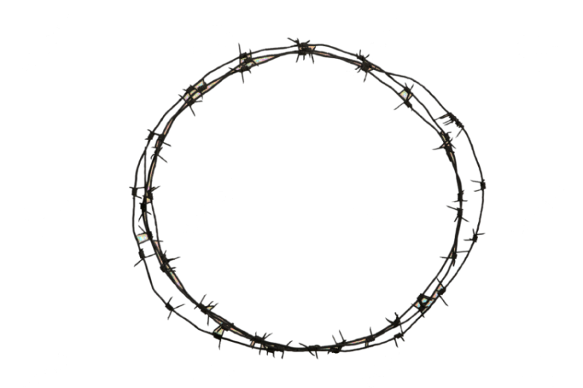 Barbed Wire fences PNG Transparent