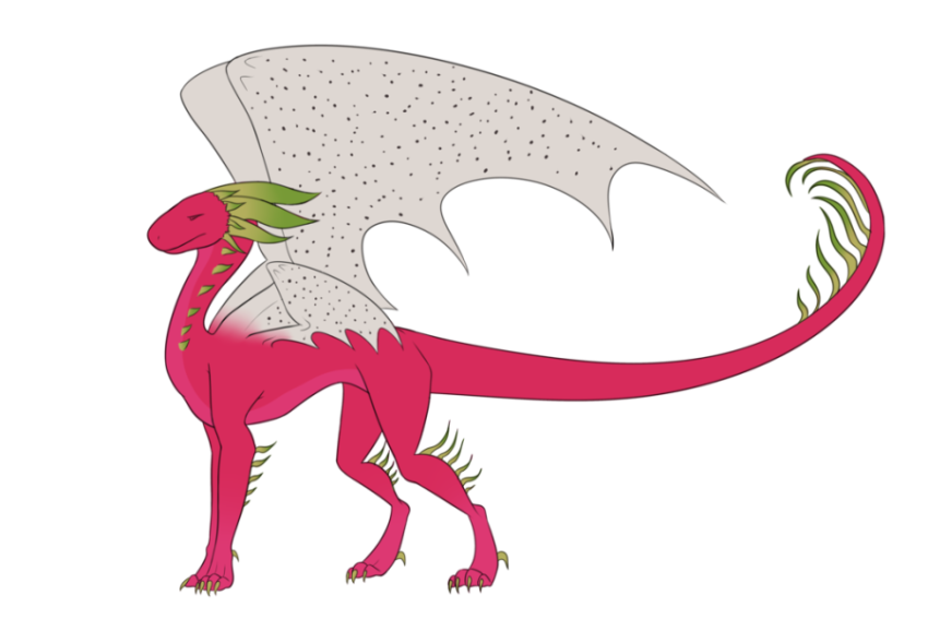 Illustration Vector Design On Clipart Dragon Made From Dragon Fruit PNG Picture Free Download