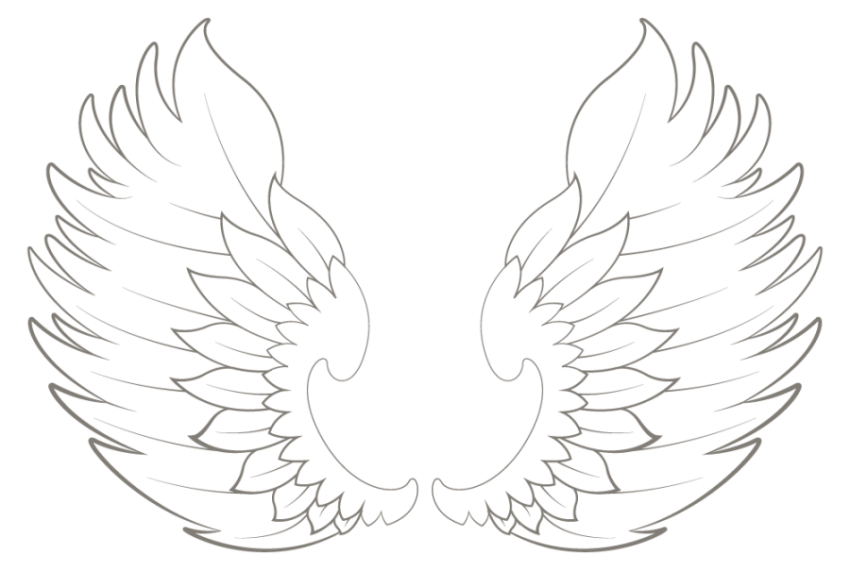 Wings Vector illustration On Art Wing With White Background Black AND White Styles