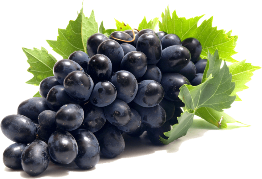Free Download Grapes Image PNG Stock Grapes Picture Free Download
