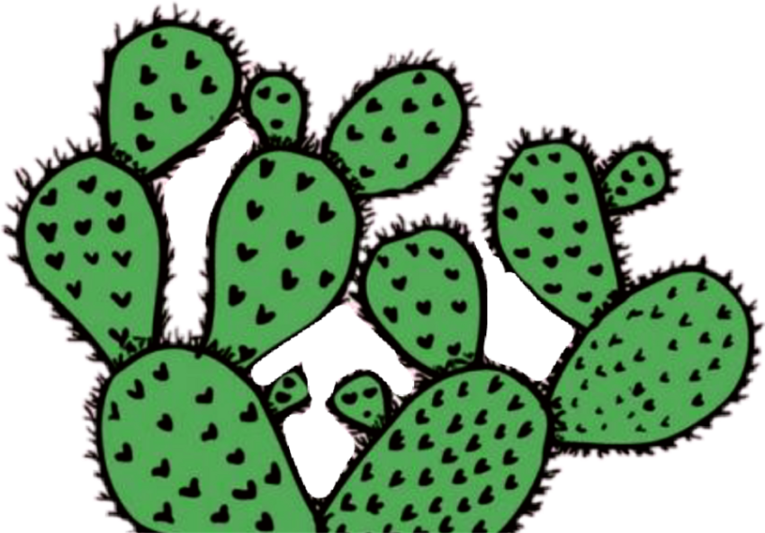 Neon Cactus PNG Plant Free Photo