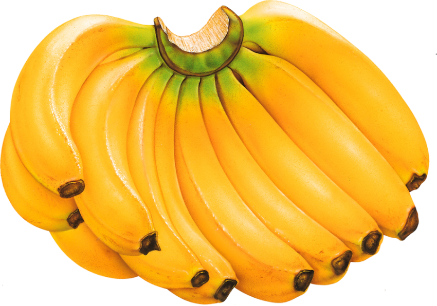 HQ PNG Bananas Fruity Food PNG Photo Free Download