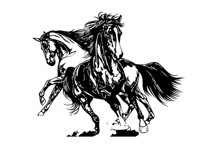 Hand drawn pattern of horse PNG free Download