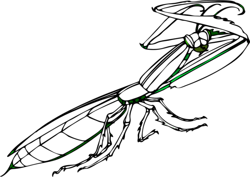 Silhouette PNG Black And White Insect Mantis PNG Picture Drawing Free Download