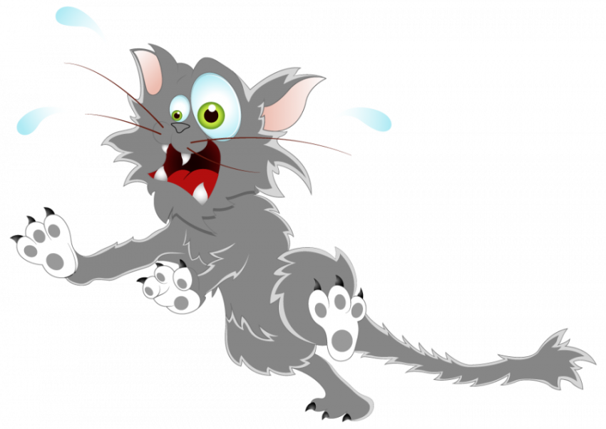 Cartoon Cat Image , Vector Free Download Transparent Background