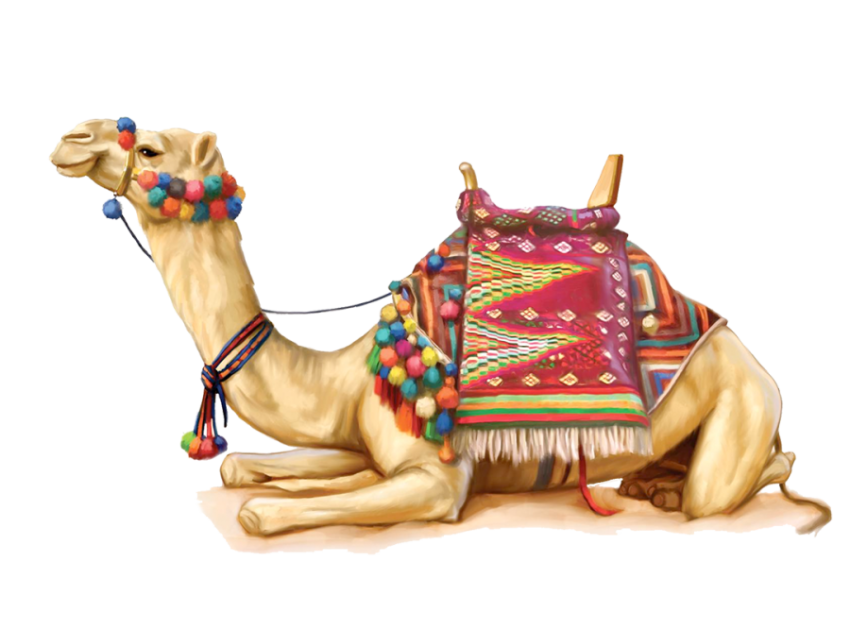 Camel png free download with color full seet