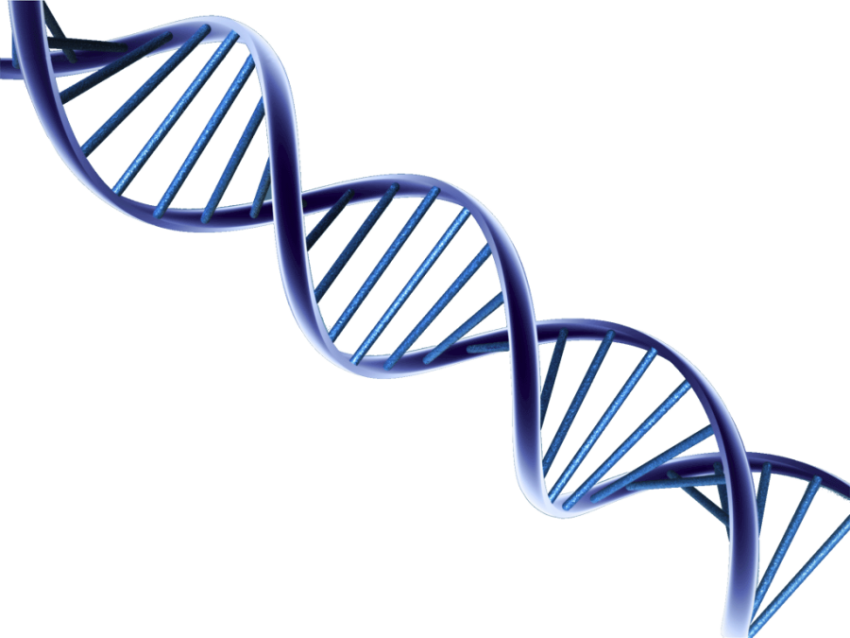 HD Blue DNA String Transparent PNG Image Download Free