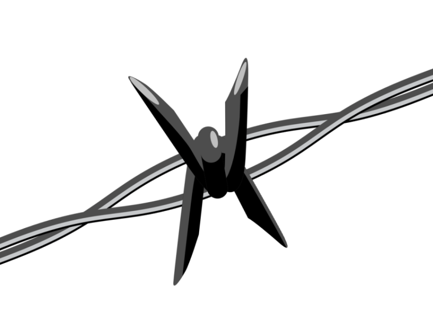 Barbwire PNG Free Background Image