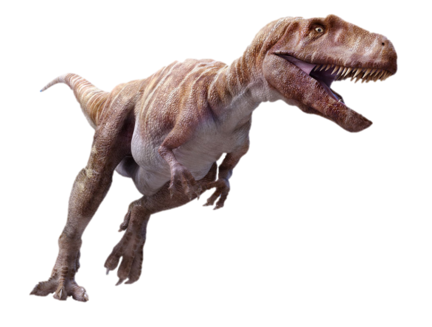 giganotosaurus dinosaur open mouth transparent background png free download
