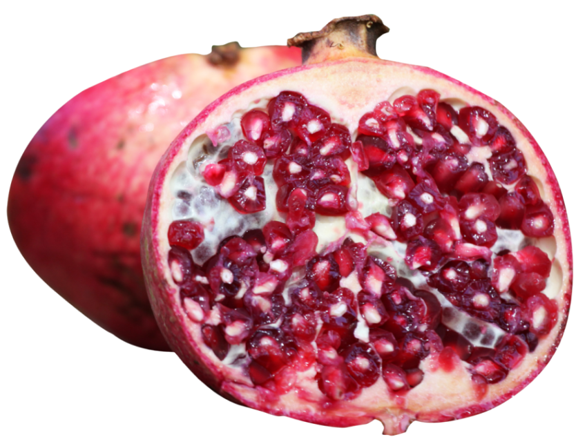 Free Download Vector stock Half Pomegranate PNG Picture Free Transparent