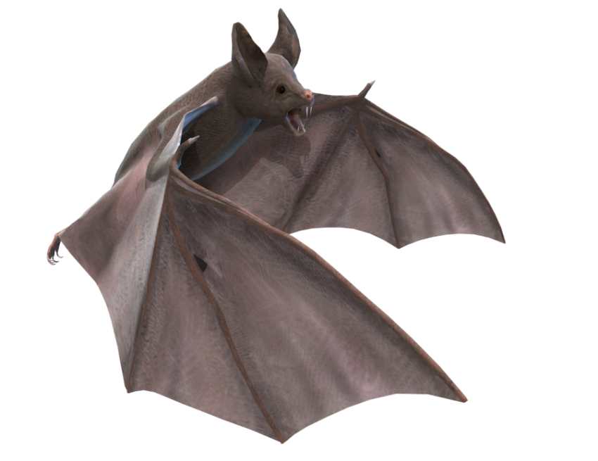 3d Bats free png download for commercial use