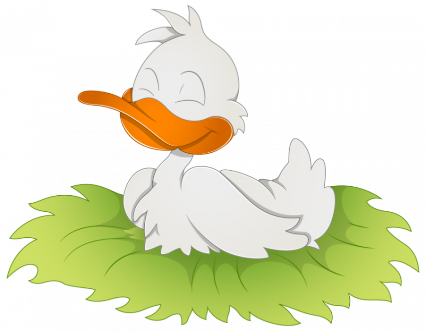 Cartoon Duck Birds PNG Image with Transparent Background , Free Vector Graphic image
