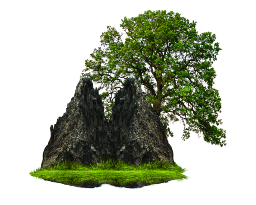 Grass Rocks PNG Free Transparent Image