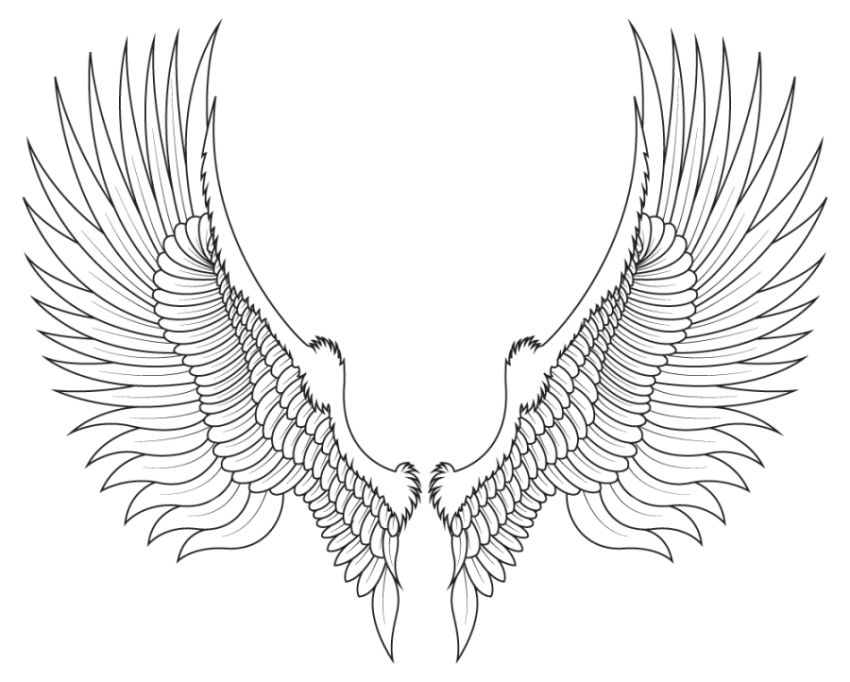 Wings Vector iIlustration on White Background Black And White Style Eagle Free Transparent Background