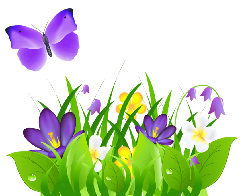 Beautiful Clipart PNG Grass With Flower PNG Transparent Download