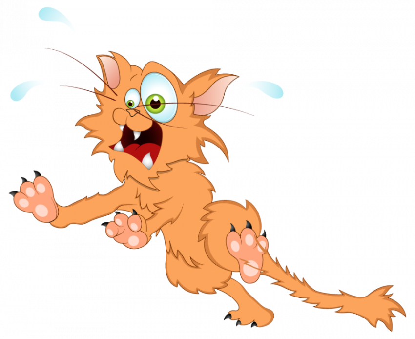 Cartoon Running Cat , Clipart Cat - Free Download Transparent icon