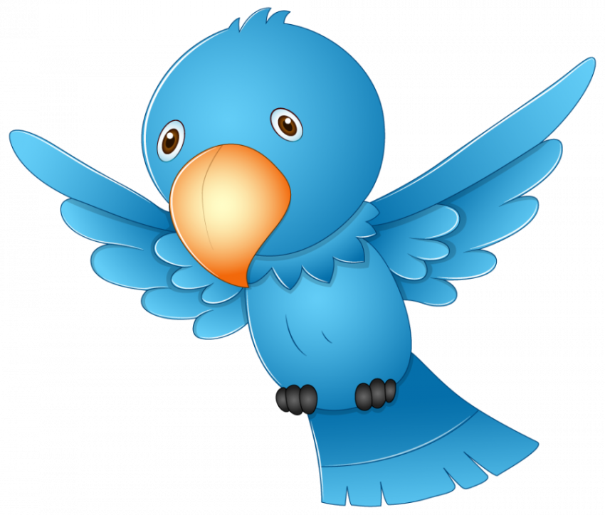 Free Vector Cartoon Cute Flying Birds PNG icon with Transparent Background Photo