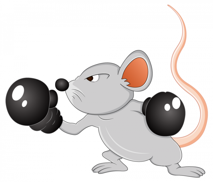 Scary Rat - Stock ,  Illustrations , Vector & Clipart Mouse icon, Transparent Free Download