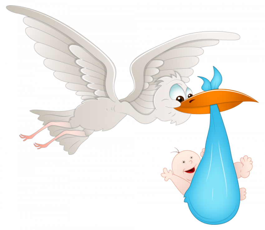 Cartoon Flying stock Birds Delivering a Baby Vector image, Transparent Background