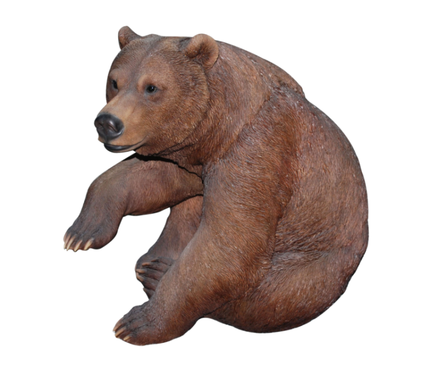 Free Animal Forest Bear PNG Transparent Sit Bear Picture Free Download