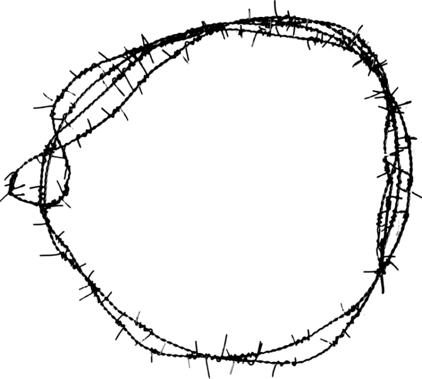 Round Barbwire PNG Image Download Free