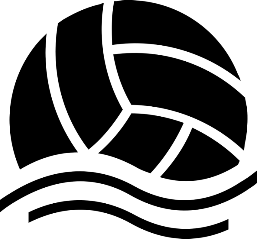 Animated Volleyball PNG Icon