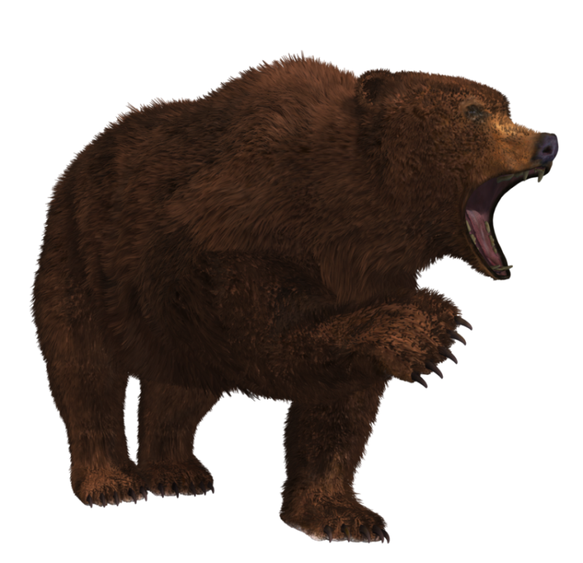 HD Background Wild Animals Bear PNG Transparent Free Download