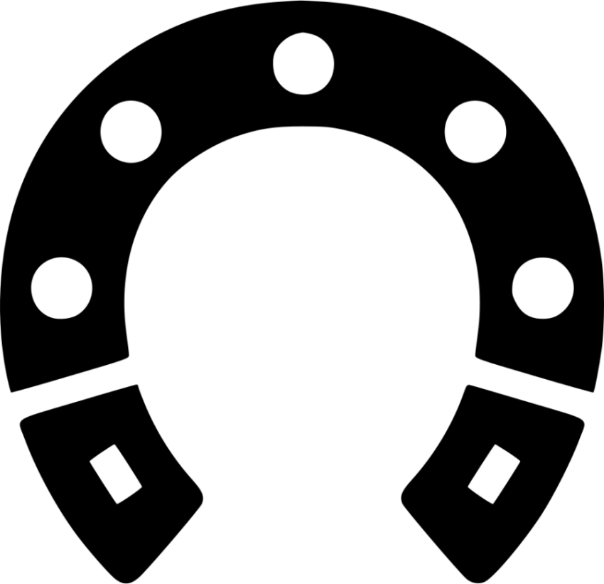 Realistic Horseshoe PNG Image Download Free