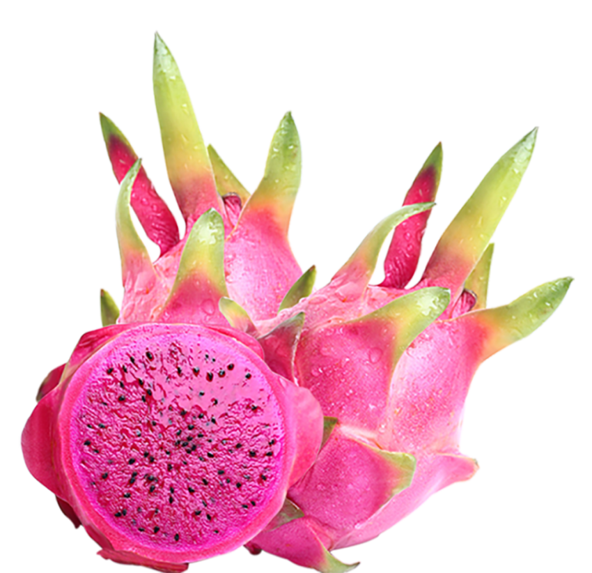 Transparent Clipart Vector Graphic Pitaya Fruit, dragon fruit, food, leaf, flower PNG Photo Free Download