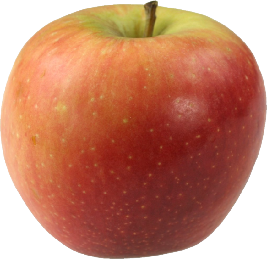 Apple Real Fruit PNG Image Free Transparent