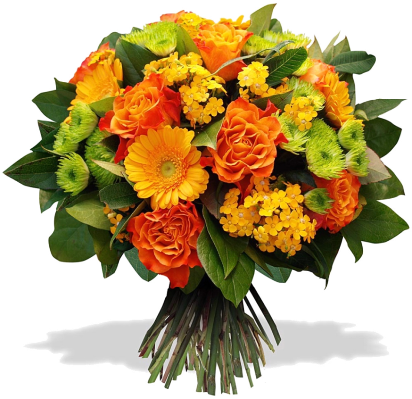 Flowers Boky PNG Photo