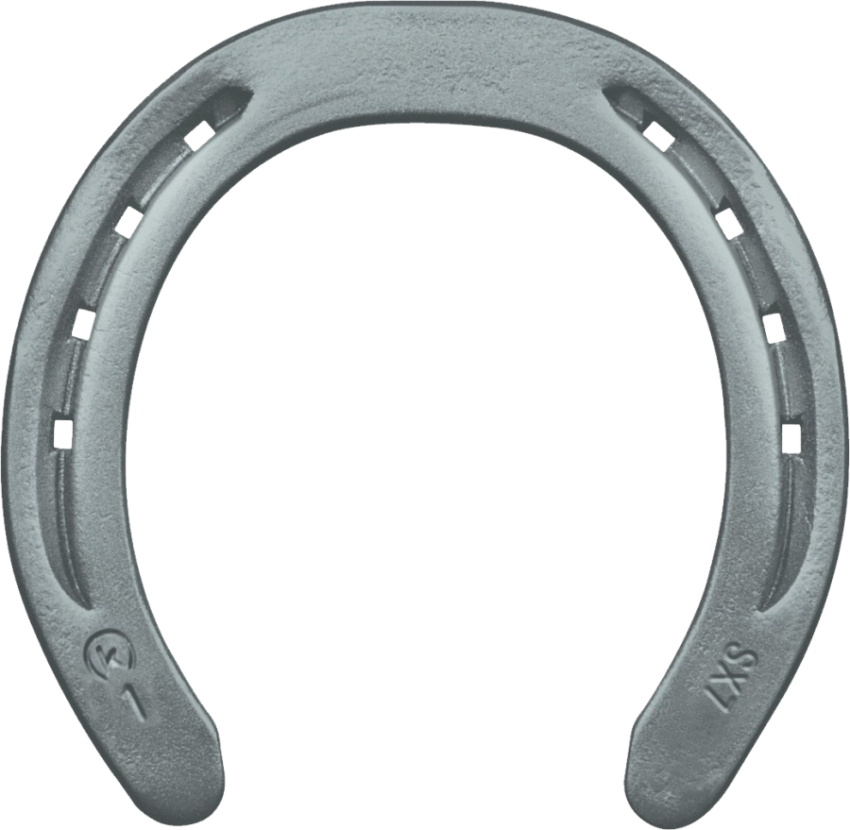 Piercing Horseshoe PNG Photo Free Download