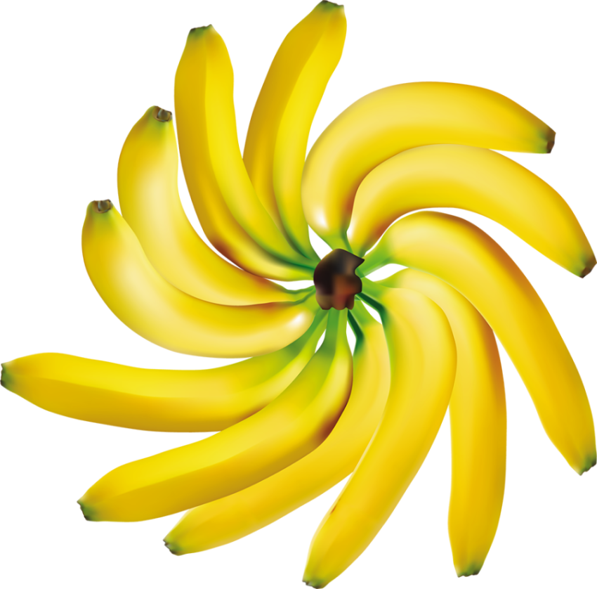 Royalty Free Banana Photo No Background PNG Picture Free Download