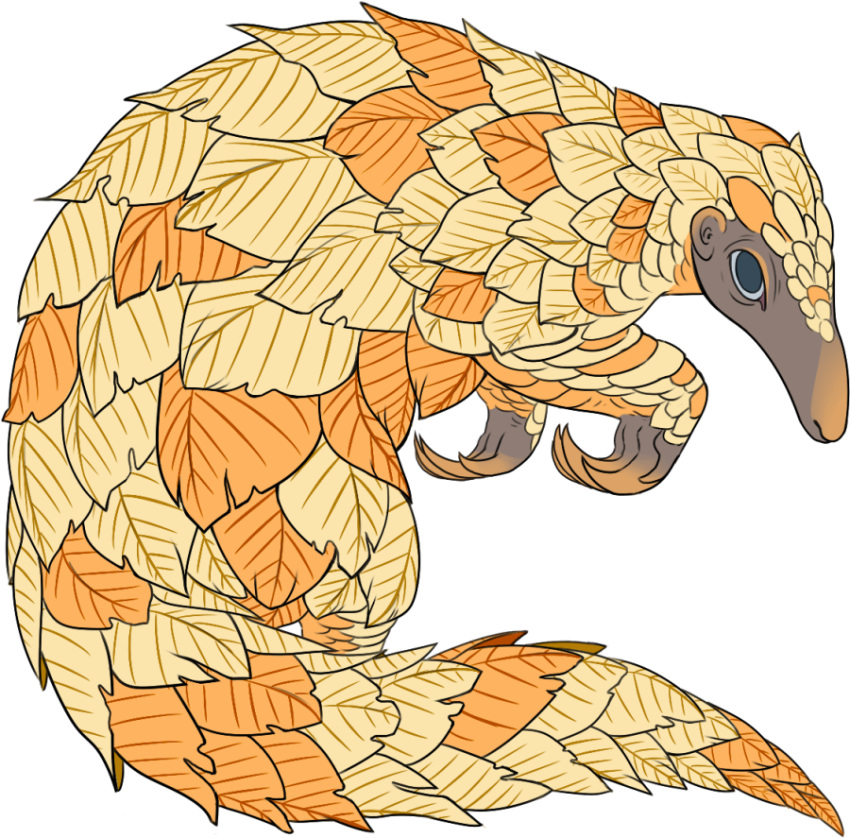 Illustration Animated Graphic Art Design On Pangolin PNG Picture