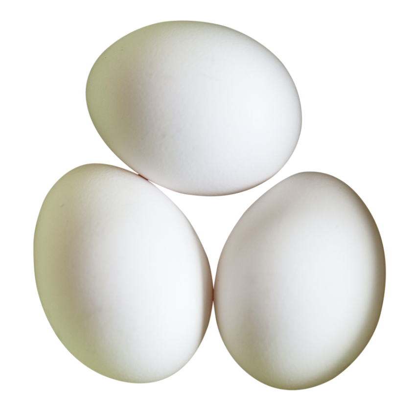 Three White Eggs,Chicken Eggs,HD Photo Free Download PNG Image,Transparent Background
