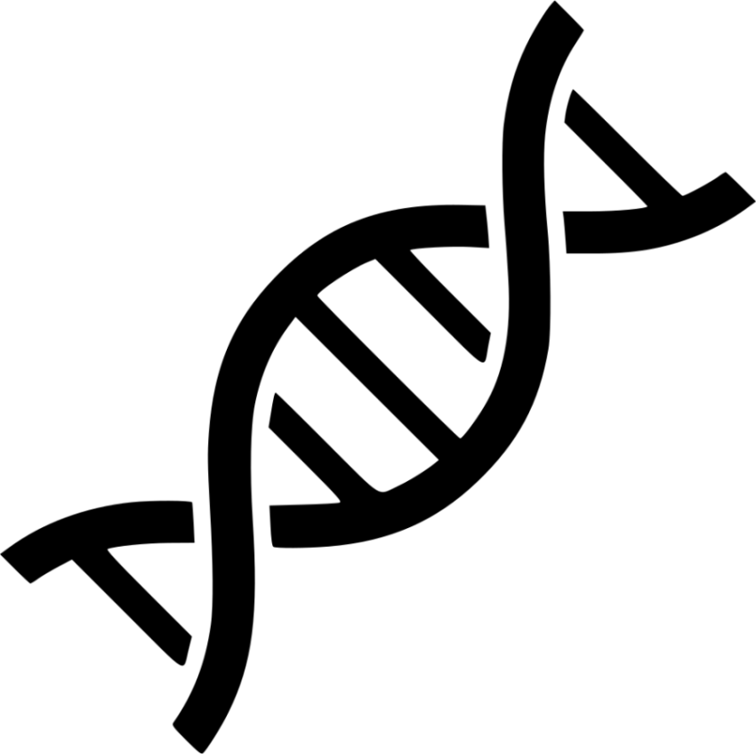Vector Illustration DNA PNG Photo Free Download