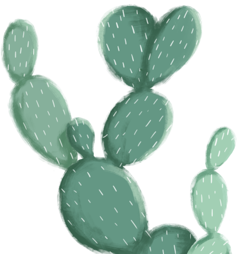 Cactus PNG with White Background image Free Download