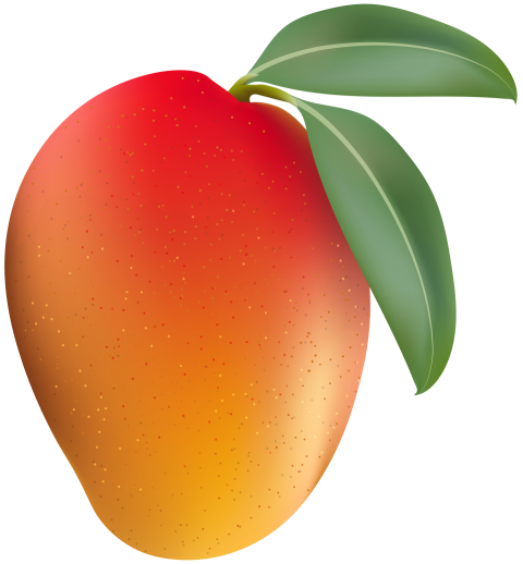 Juice Food Mango clipart Mango PNG transparent Background Free Download