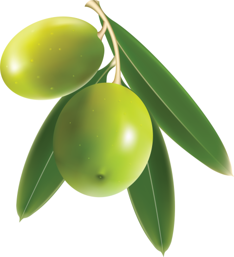 Big Green Mango with leaf PNG Image Free Download white background