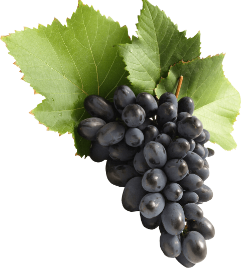 Uva Verde Grapes Burch Image PNG Transparent Picture PNG Free Download