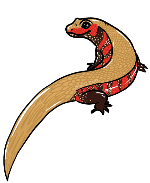 HD Graphic Art Design Animal On Skink PNG Photo Free Download