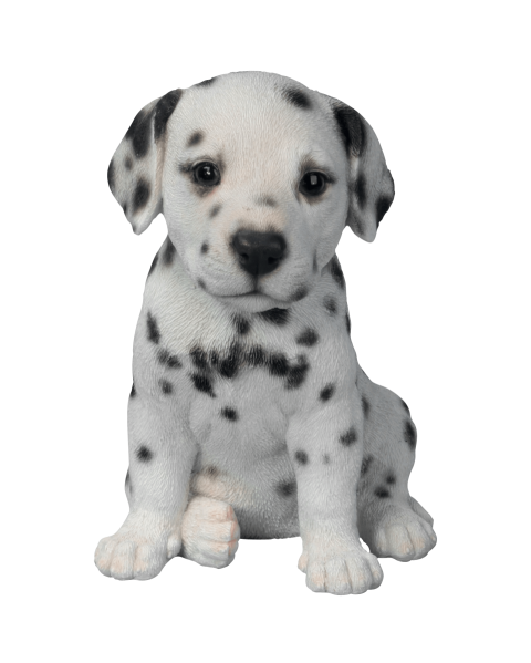 Puppy PNG Clipart animal Free Transparent