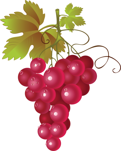 Download Free Juicy Furity Red Grapes PNG Free Transparent