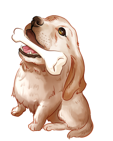 Animal puppy little golden hair Free Png Download