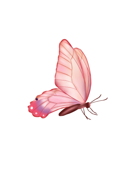 Butterfly parked on flower pink PNG Free Download