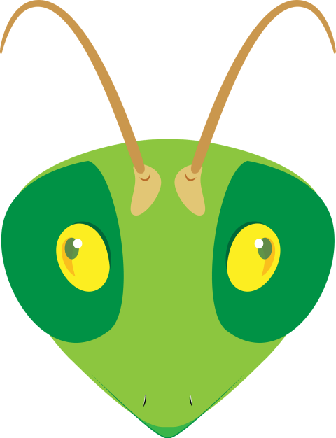 Isolated Cartoon Mantis Face Image On Transparent PNG Free download