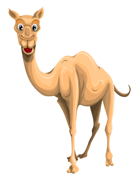 Camel png free download cartoon camel funny camel cartoon